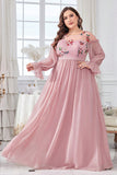 Blush Chiffon A Line Plus Size Mother of Bride Dress with Embroidery
