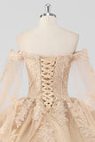 Princess Champagne Off the Shoulder Tulle Quinceañera Dress with Appliques