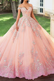 Blush Ball Gown Appliqued Off The Shoulder Maxi Quinceañera Dress