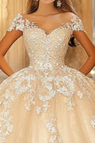 Champagne Ball Gown Cap Sleeves Appliqued Maxi Quinceañera Dress