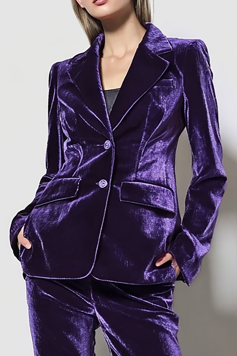 2 Piece Dark Purple Velvet Notched Lapel Single Breasted Business Suits