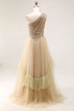 Brown Pleated Tulle A Line Long Wedding Guest Dress with Sequins