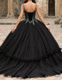 Princess Black Spaghetti Straps Tulle Quinceanera Dress with Appliques