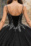 Princess Black Spaghetti Straps Tulle Quinceanera Dress with Appliques