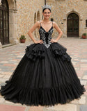 Glitter Black Spaghetti Straps Ruffled Tulle Princess Quinceanera Dress with Appliques