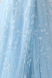 Light Blue Corset Floral Tulle Embroidered Maxi Prom Dress