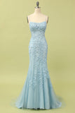 Coral Backless Long Prom Dress with Appliques
