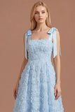 Sky Blue Floral A Line Thick Straps Appliqued Long Formal Dress
