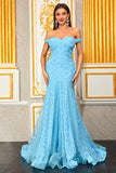 Light Blue Floral Appliques A Line Long Prom Dress