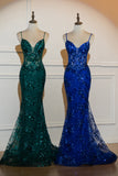 Royal Blue Corset Sequined Applique Mermaid Prom Dress