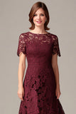 Burgundy Lace Sheath Midi Mother of the Bride Dress with Short Sleeves