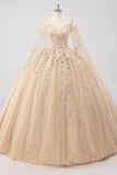 Princess Champagne Off the Shoulder Tulle Quinceañera Dress with Appliques