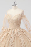 Princess Champagne Off the Shoulder Tulle Quinceañera Dress with Appliques