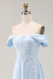 Sky Blue Long Sheath Mother of the Bride Dress with Lace Applique