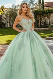 Mint Green Tulle Sweetheart Princess Appliqued Quinceañera Dress