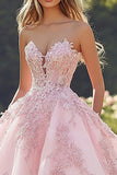 Princess Blush Ball Gown Strapless Appliqued Tulle Quinceañera Dress