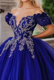 Royal Blue Ball Gown Short Sleeves Tulle Quinceañera Dress with Appliques