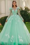 Mint Ball Gown Boat Neck Long Sleeves Appliqued Tulle Quinceañera Dress