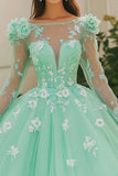 Mint Ball Gown Boat Neck Long Sleeves Appliqued Tulle Quinceañera Dress