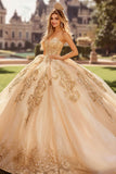 Champagne Ball Gown Strapless Appliqued Tulle Quinceañera Dress