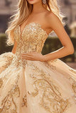 Champagne Ball Gown Strapless Appliqued Tulle Quinceañera Dress