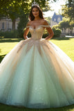 Sparkly Champagne Ball Gown Off the Shoulder Tulle Quinceañera Dress