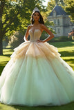 Sparkly Champagne Ball Gown Tulle Ruffled Quinceañera Dress