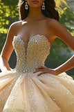 Sparkly Champagne Ball Gown Tulle Ruffled Quinceañera Dress