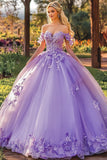 Lilac Appliqued Maxi Fancy Quinceañera Dress with 3D Flowers
