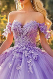Lilac Appliqued Maxi Fancy Quinceañera Dress with 3D Flowers