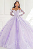 Princess Lilac Ball Gown Long Sleeves Tulle Quinceañera Dress with Appliques