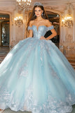 Princess Sky Blue Ball Gown Maxi Tulle Quinceañera Dress with Appliques