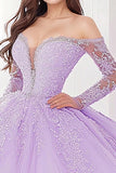Princess Lilac Ball Gown Long Sleeves Tulle Quinceañera Dress with Appliques