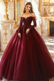 Burgundy Ball Gown Long Sleeves Appliqued Quinceañera Dress