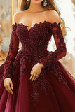 Burgundy Ball Gown Long Sleeves Appliqued Quinceañera Dress