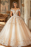 Champagne Off The Shoulder Appliqued Tulle Quinceañera Dress
