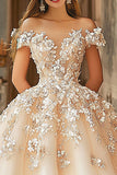 Champagne Off The Shoulder Appliqued Tulle Quinceañera Dress