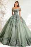 Dusty Sage Maxi Ball Gown Off The Shoulder Tulle Appliqued Quinceañera Dress