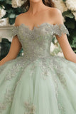 Dusty Sage Off The Shoulder Sweetheart Appliqued Tulle Quinceañera Dress