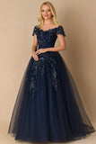 Sparkly Navy Ball Gown Applique Tulle Mother of the Bride Dress