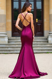 Dark Purple Spaghetti Straps V Neck Mermaid Long Prom Dress