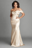 Elegant Satin Champagne Sheath Plus Size Long Mother of the Bride Dress