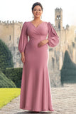 Plus Size Pink Sheath V Neck Chiffon Long Mother of the Bride Dress