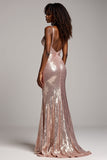 Sparkly Dusty Rose Sheath V-Neck Long Prom Dress with Sequins