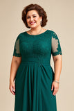 Pine Appliqued Chiffon Long Mother of the Bride Dress