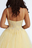 Daffodil Spaghetti Straps A Line Maxi Plus Size Prom Dress with Appliques