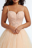 Daffodil Spaghetti Straps A Line Maxi Plus Size Prom Dress with Appliques