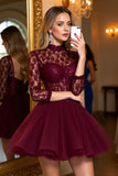 Burgundy Tulle Illusion Neck Corset A Line Mini Prom Dress