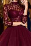 Burgundy Tulle Illusion Neck Corset A Line Mini Prom Dress