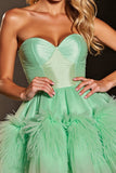 Green Corset Sweetheart A Line Short Prom Dress with Feathers